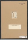 Diatomeae indet. Zeichnungen Sammlung Grunow Nr. 5431 (NHMW-BOT-W0373803)